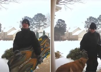 Video: Golden Retriever Is Invited by Neighborhood Kids to Play With Them