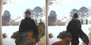 Video: Golden Retriever Is Invited by Neighborhood Kids to Play With Them