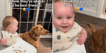 Video: Golden Retriever Makes Baby Laugh Endlessly by Doing Just This