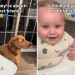 Video: Golden Retriever Makes Baby Laugh Endlessly by Doing Just This