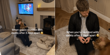 Dog & Her Dad’s Reunion After 3 Days Apart Is Heartwarming