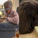 Video: Big Dog Gets Upset When Grandma Is Sick