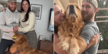 Video: Golden Retriever Rehearses for Owners’ Wedding Dance