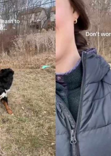 Video: Dog Pulls an Unexpected Move Seconds After Owner Drops the Leash