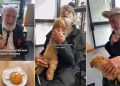 Dog Is Best Friends With Man Who Needed Company After Meeting as a Pup