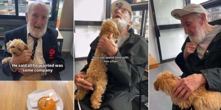Dog Is Best Friends With Man Who Needed Company After Meeting as a Pup