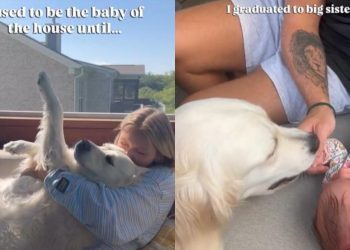 Golden Retriever Is Little Girl’s Big Sister Now After Once Being the Baby