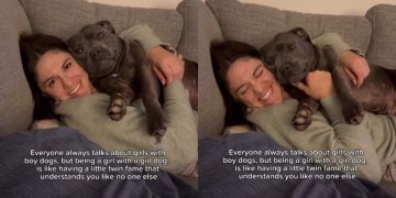 Girl Dog Is Mom’s Little Twin the Way She Gets Her Like No One Else
