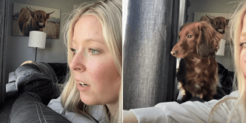 Dog Immediately Joins Owner To Inspect Who Was Outside