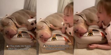 Big Dog Gently Falls Asleep as Little Girl Sings Her Song & Cuddles Him