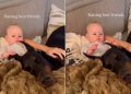 Dog Stays Calm With Baby, Shows What Growing up as Best Friends Looks Like