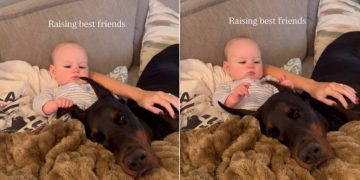 Dog Stays Calm With Baby, Shows What Growing up as Best Friends Looks Like