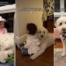 Owner Shows Goldendoodle & Little Girl Being Besties Forever