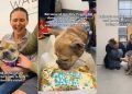 Rescue Dog Doesn’t Get His Vision Back but Finds Home Where He’s Loved as He Is