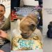 Rescue Dog Doesn’t Get His Vision Back but Finds Home Where He’s Loved as He Is