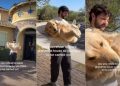 Dog Refuses To Leave Grandma’s House & Has To Be Carried Away