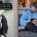 Rescue Dog Hides Behind Kennel Walls, Not Knowing Dad Is Coming To Save Her