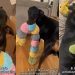 Doberman Has a BFF — and You Won’t Believe Who It Is