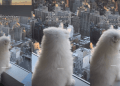 Puppy Stands by Glass Window With Thoughts, Looking Over City