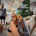‘Overly Emotional’ Golden Retriever’s Reaction to New Pool Goes Viral