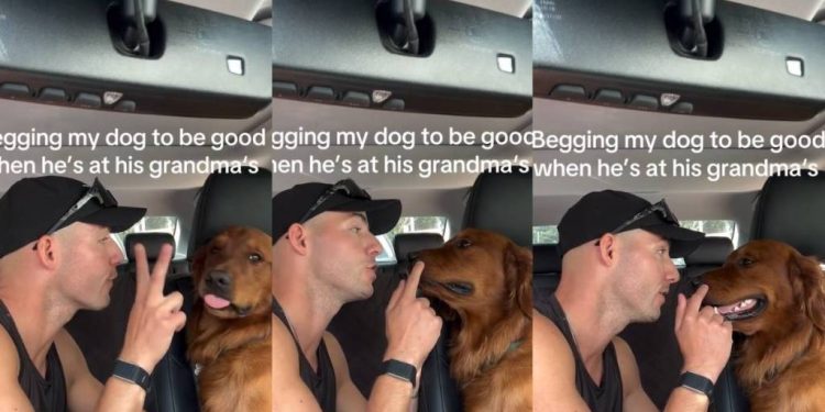 Golden Retriever Couldn’t Care Less About Dad’s Rules at Grandma’s