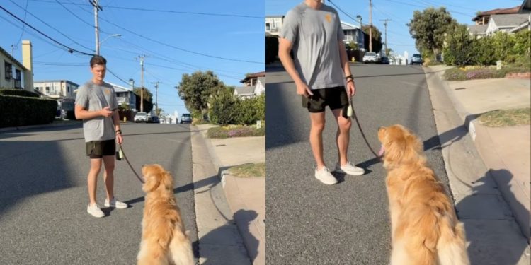 Dog Beats Dad in ‘Loyalty Test’ for Mom
