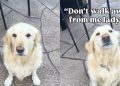 Dog’s Reaction When Mom Exposes His ‘Biggest Fear’ Is Priceless