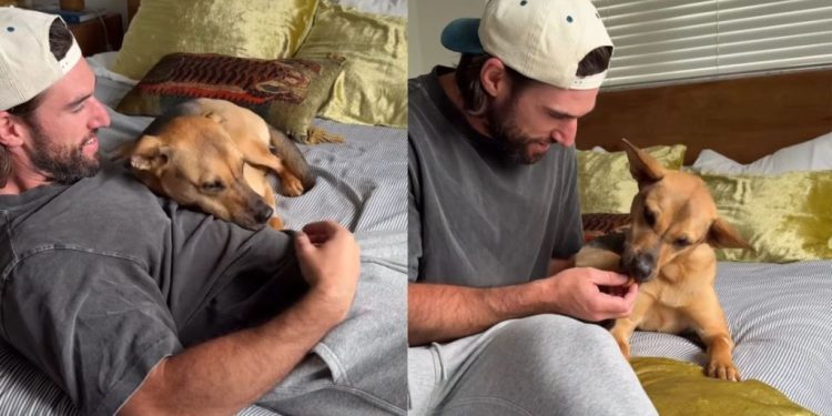 Rescue Dog Listens When Dad Says It’s Okay, Then Gets Cuddles & Treats