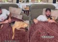Rescue Dog Definitely Approves of New ‘Cuddle Blankie’ His Dad Got for Them