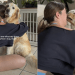 Mom Captures What Dogs Look Like When She Hugs Them