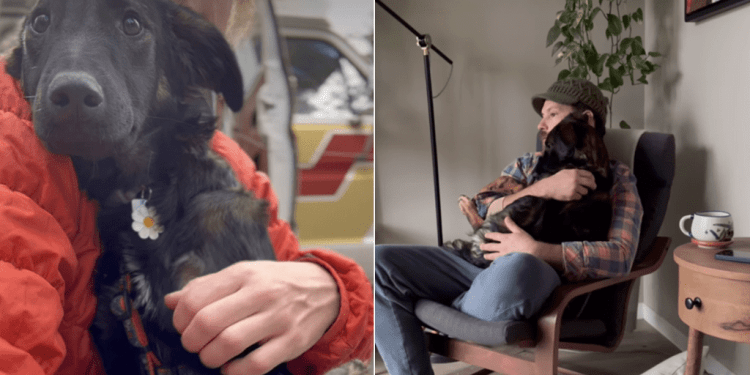 Scared Rescue Dog Finds Safe Space in Two Loving Humans Once Adopted