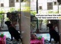 Shelter Dog Has Brief Loving Moment With Human Before She’s Alone Again