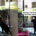 Shelter Dog Has Brief Loving Moment With Human Before She’s Alone Again