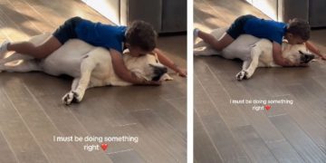 Dog Gets So Much Love From Little Boy, He Responds With Endless Kisses