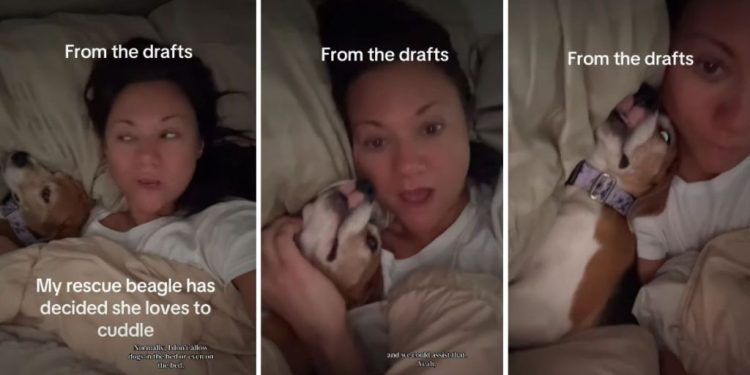 Rescue Dog Can Finally Find Peace After Cuddling With Owner