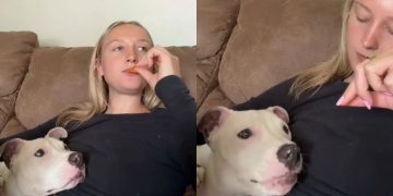 Rescue Dog Snacking on Doritos With Mom Is Healing the Internet