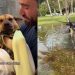 Rescue Dog Who Always Avoided Water Surprises Dad by Jumping Into Rain Puddle