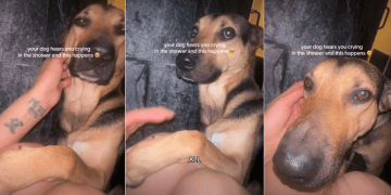 Dog Hates Bath but Makes the Ultimate Compromise for Mom