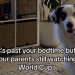 Dog Is Confused After Owners Delay Bedtime for World Cup Game