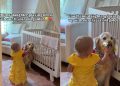 Senior Dog Lets Little Girl Dress Him up & Couldn’t Be Sweeter About It