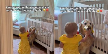 Senior Dog Lets Little Girl Dress Him up & Couldn’t Be Sweeter About It
