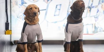 Meet NHL’s Stanley Pup 2026 Participants as Competition Nears Premiere