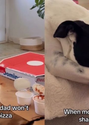 Rescue Dog Gets Overly Dramatic When Owners Won’t Share a Pizza