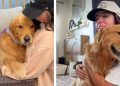 After Owner Teaches Golden Retriever a Trick, It’s All He Does