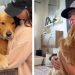 After Owner Teaches Golden Retriever a Trick, It’s All He Does