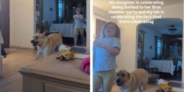 Labrador Proves To Be the Best ‘Hype Man’ for Sister’s New Milestone