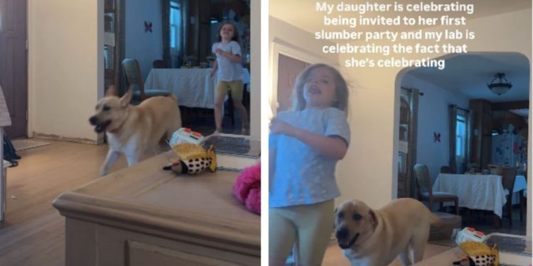 Labrador Proves To Be the Best ‘Hype Man’ for Sister’s New Milestone