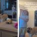 Labrador Proves To Be the Best ‘Hype Man’ for Sister’s New Milestone
