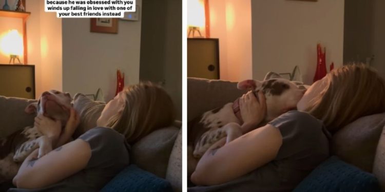 Owner Thinks Adopted Dog Is Obsessed With Her, but He Proves Her Wrong