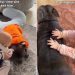 Baby Experiences a First With Dog Sibling & It Turns Into a Sweet Ritual